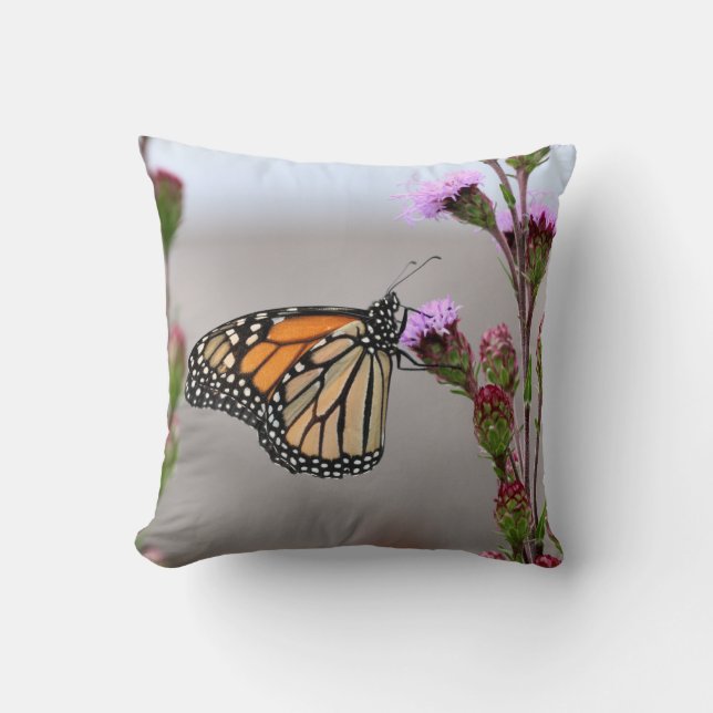Monarch Cushion (Front)