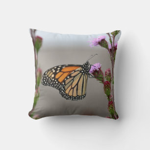 Monarch Cushion