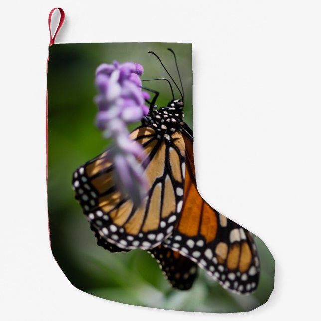Monarch Danaus Plexippus Small Christmas Stocking (Front)
