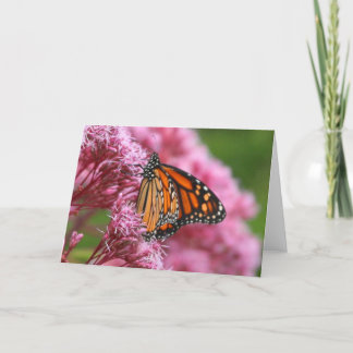 Monarch in the Weeds Greeting Card