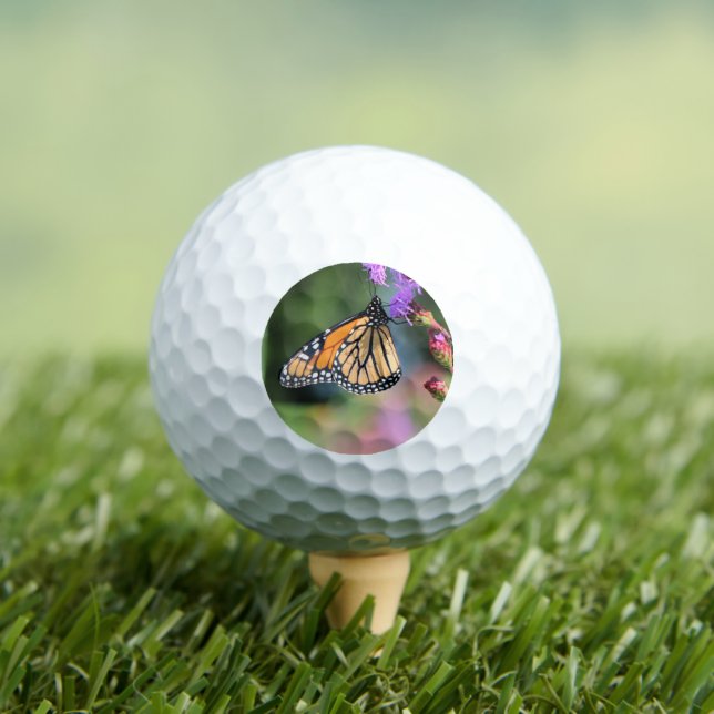Monarch lunch golf balls (Insitu Tee)