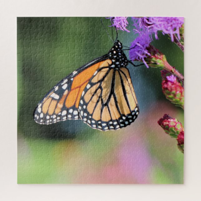Monarch lunch  jigsaw puzzle (Vertical)