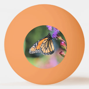 Monarch lunch ping pong ball