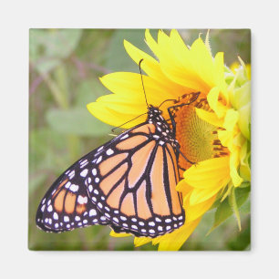 Monarch Magnet