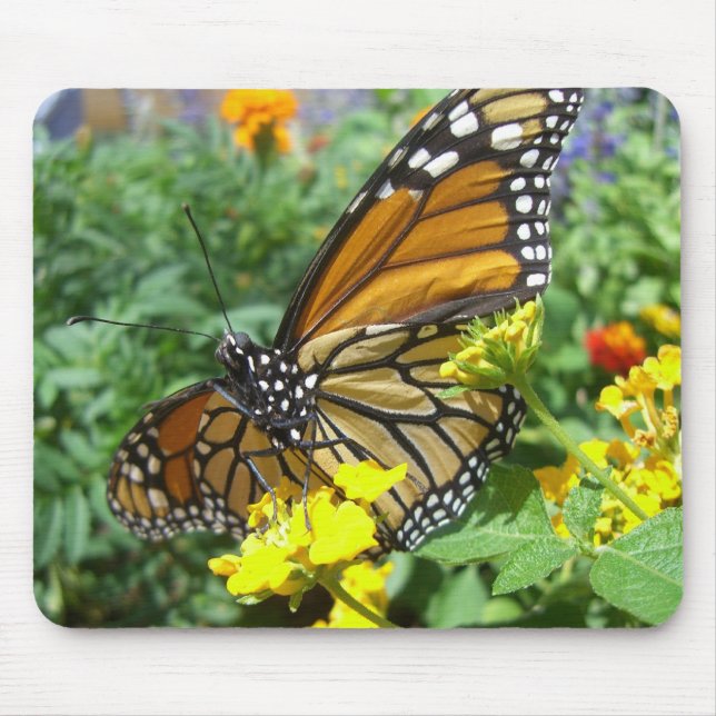 Monarch Majesty (1) Mousepad (Front)