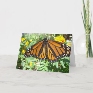 Monarch Majesty (4) Greeting Card