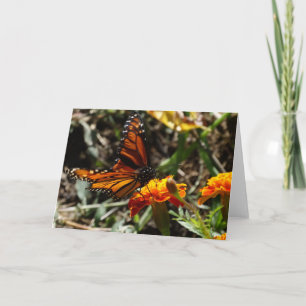 Monarch & Marigold Card