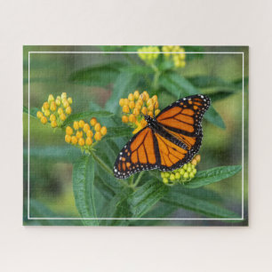 Monarch Meal Jigsaw Puzzle