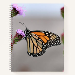 Monarch Notebook