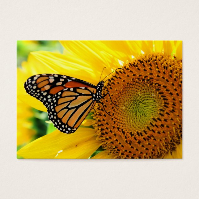 Monarch on a Sunflower ,Profile card (Front)