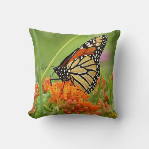 Monarch on Butterfly Weed Throw Pillow
