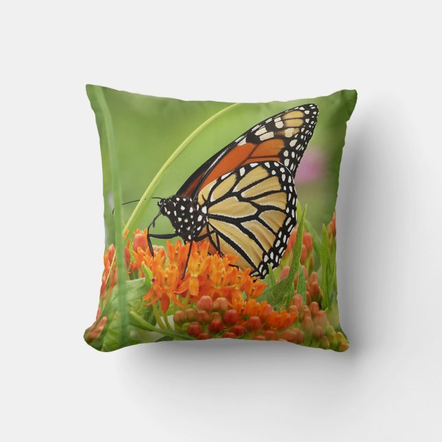 Monarch on Butterfly Weed Throw Pillow (Front)