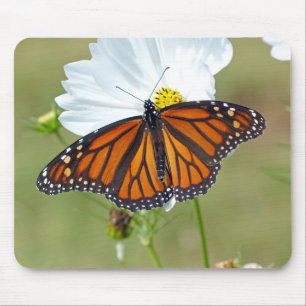Monarch on Cosmos Mouse Pad