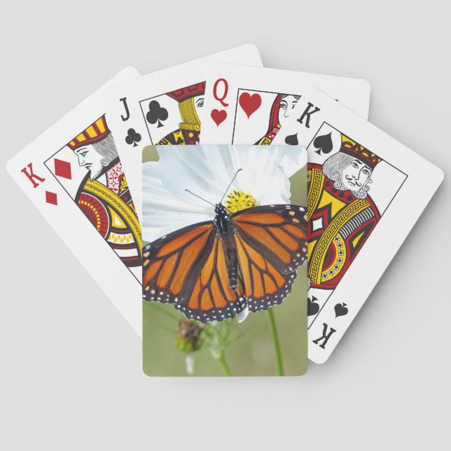 Monarch on Cosmos Playing Cards (Back)