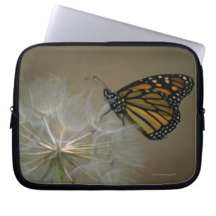 Monarch on Dandelion Laptop Sleeve