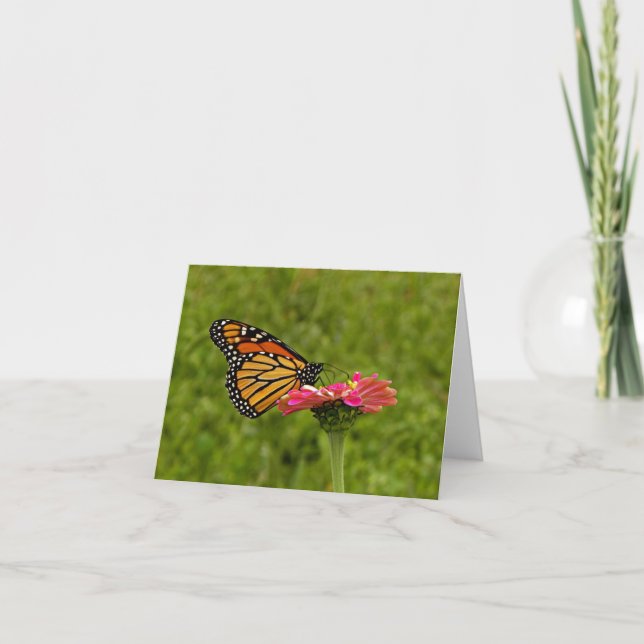 Monarch on Flower Note Card (Front)