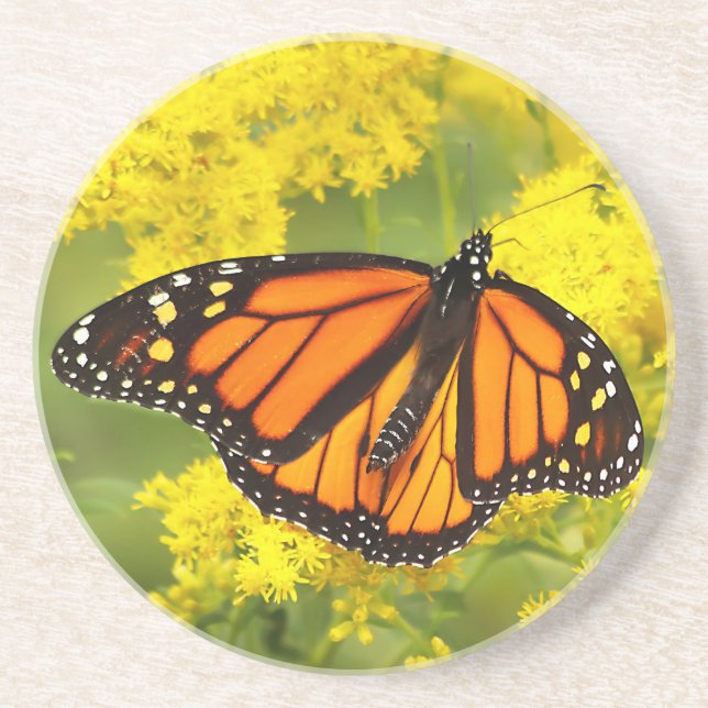 Monarch on Goldenrod Coaster (Front)