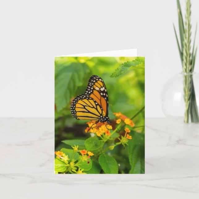 Monarch On Lantana Card (Front)