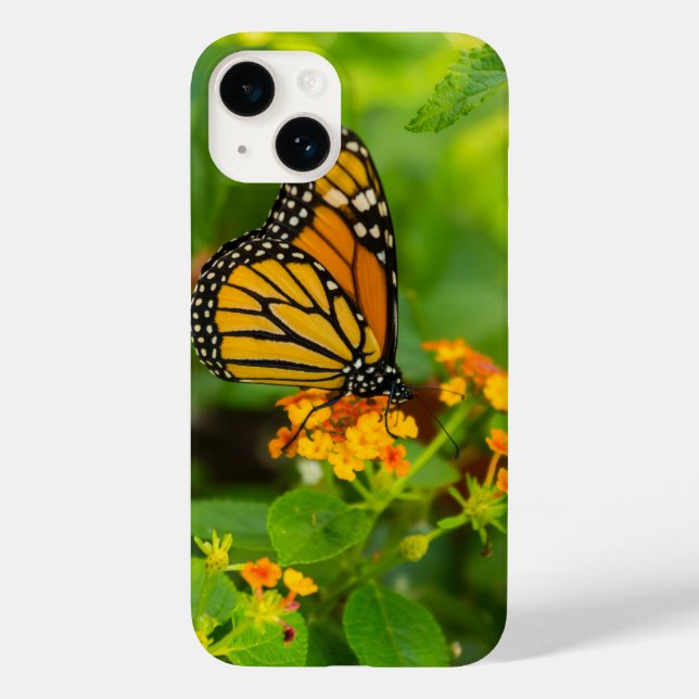 Monarch On Lantana Case-Mate iPhone Case (Back)