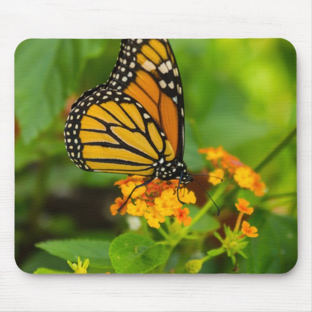 Monarch On Lantana Mouse Pad (Front)