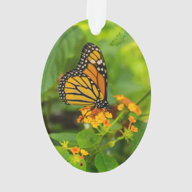 Monarch On Lantana Ornament (Back)