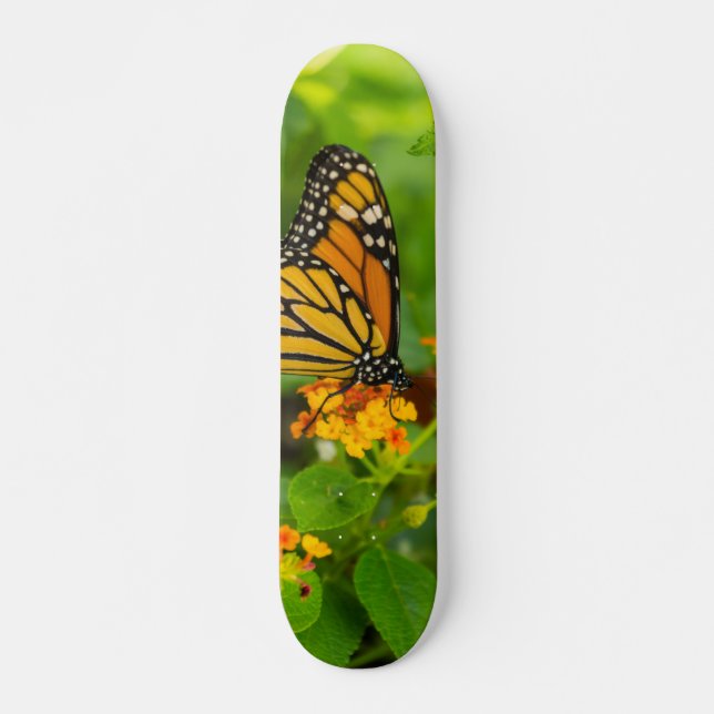 Monarch On Lantana Skateboard (Front)