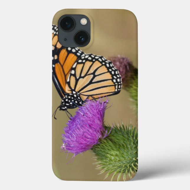 Monarch on pasture Thistle Prairie Ridge Case-Mate iPhone Case (Back)