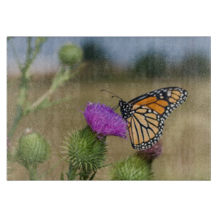 Monarch on pasture Thistle Prairie Ridge Cutting Board