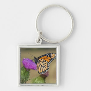 Monarch on pasture Thistle Prairie Ridge Key Ring