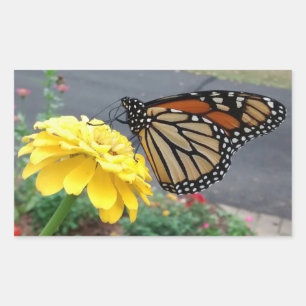 Monarch on Yellow Zinnia Rectangular Sticker