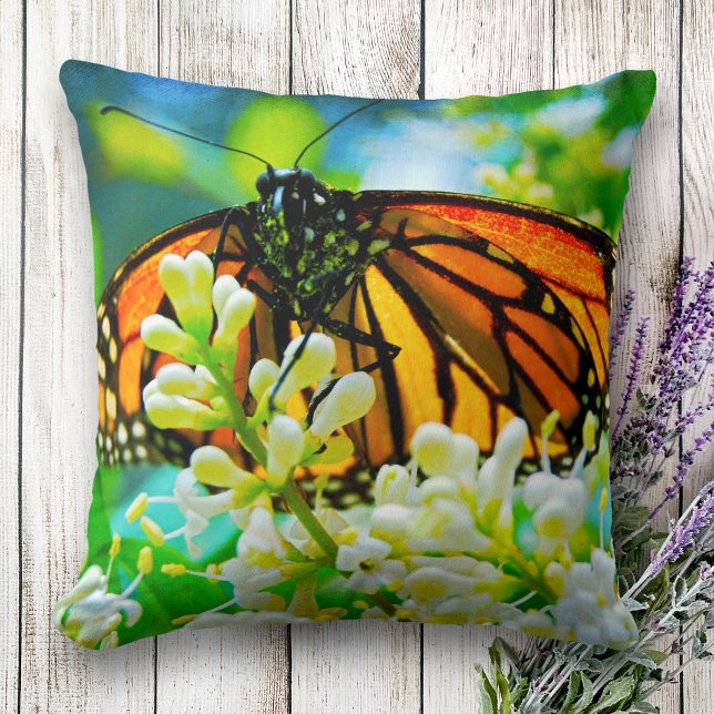 Monarch orange butterfly photo white flower bold cushion (Creator Uploaded)