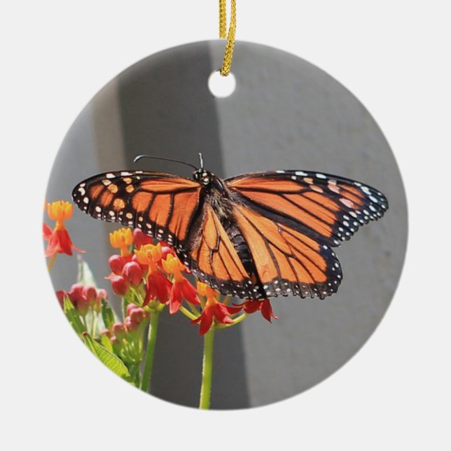 Monarch Ornament (Front)