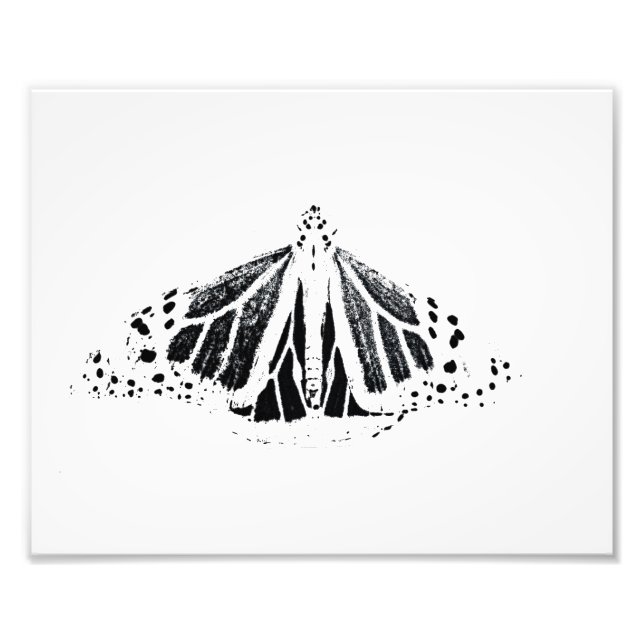Monarch outline photo print (Front)