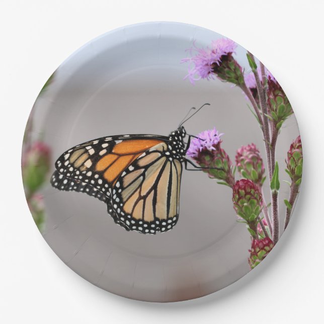 Monarch Paper Plate (Front)