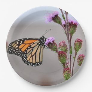 Monarch Paper Plate