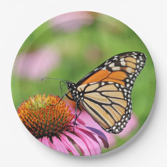 Monarch  paper plate (Front)