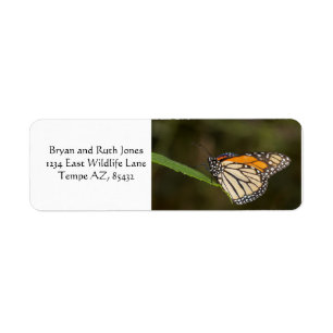 Monarch perched on a leaf return address label