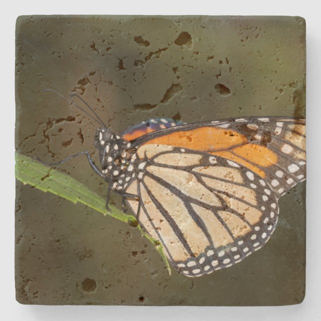 Monarch perched on a leaf stone coaster (Front)