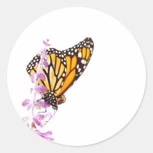 Monarch perched on lavender classic round sticker