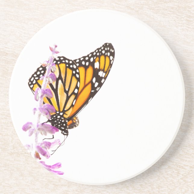 Monarch perched on lavender coaster (Front)