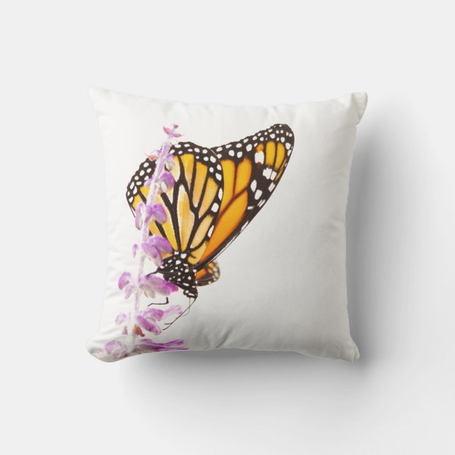 Monarch perched on lavender cushion (Front)