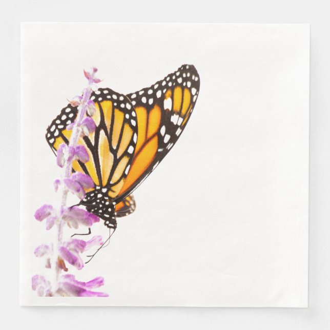 Monarch perched on lavender napkin (Front)
