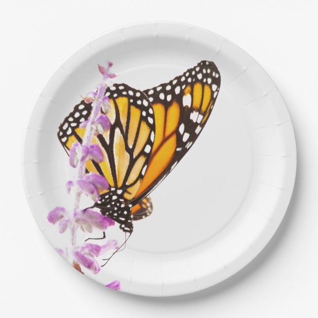 Monarch perched on lavender paper plate (Front)