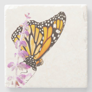 Monarch perched on lavender stone coaster