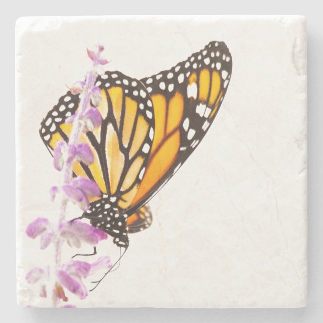 Monarch perched on lavender stone coaster (Front)