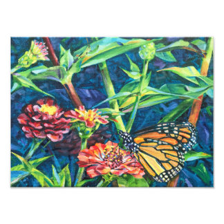 Monarch Photo Print