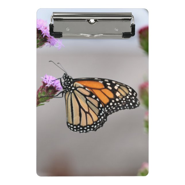 Monarch  pocket folder mini clipboard (Front)