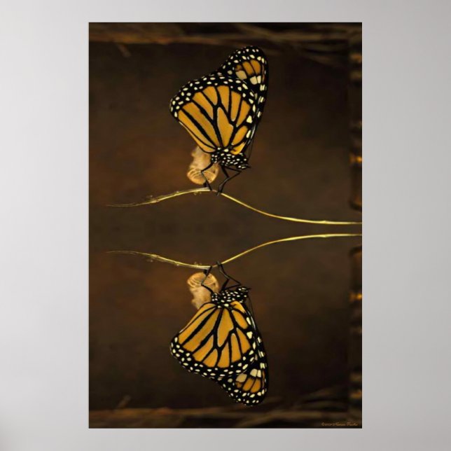 Monarch Print (Front)