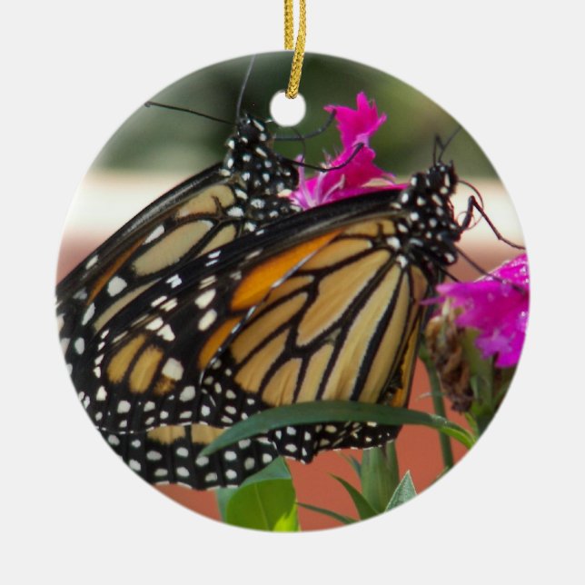 Monarch Twins #1-circle ornament (Front)