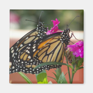 Monarch Twins #1-magnet Magnet